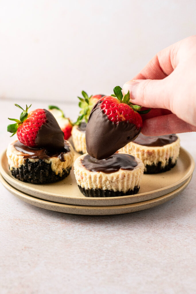 4 mini cheesecakes sitting on a plate with chocolate covered strawberries.