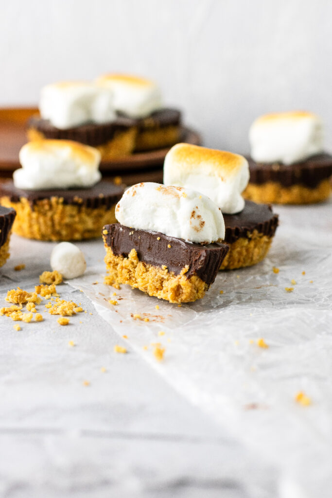 Mini s'mores pies with graham cracker crust, chocolate filling, and a large marshmollow on top.