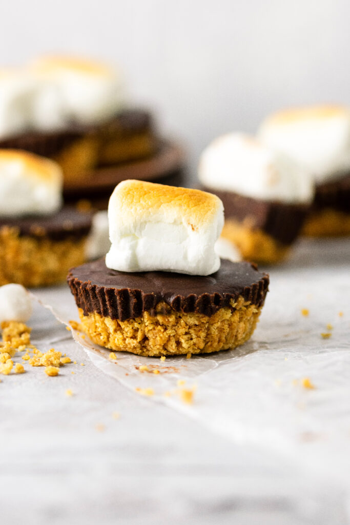 Miniature chocolate pies with toasted marshmallows.