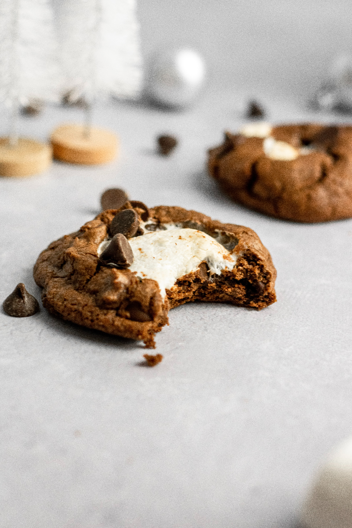 Chocolate Chip Marshmallow Cookies