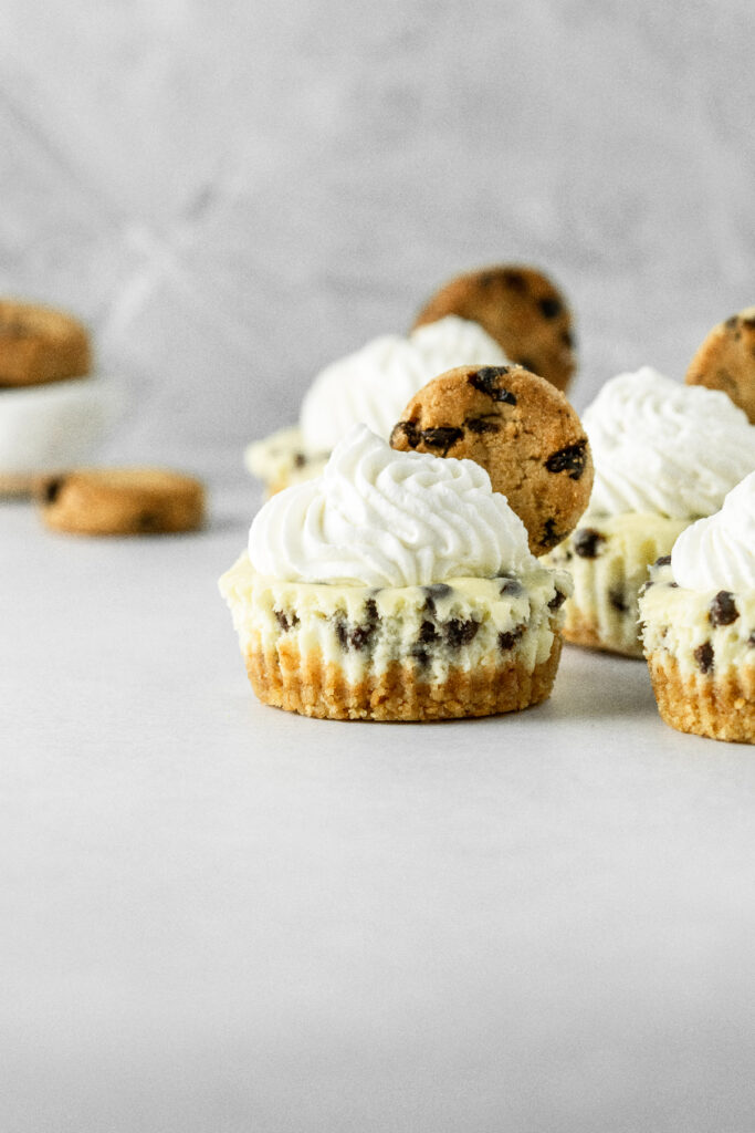 Bite sized cheesecakes with graham cracker crust and mini chocolate chips.