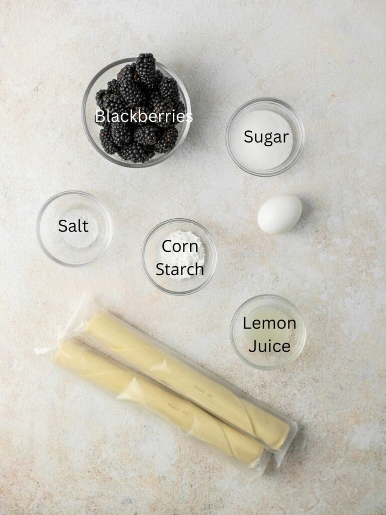 Ingredients: blackberries, sugar, salt, corn starch, egg, lemon juice, and pie dough.