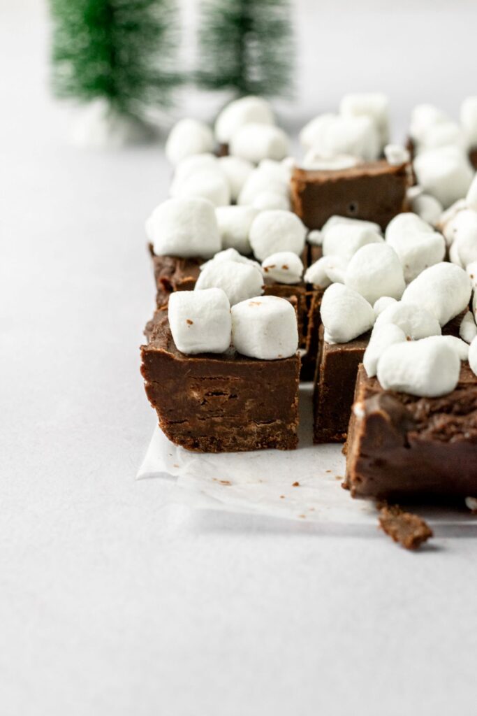 Hot chocolate fudge topped with mini marshmallows with little green trees in the background.