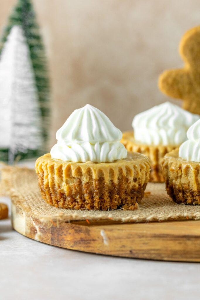 Gingerbread cheesecake with a gingersnap crust and topped with homemade whipped cream.
