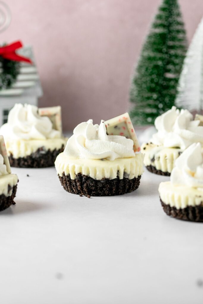 Individual mini cheesecakes with a chocolate crust, peppermint filling, and peppermint bark on top.