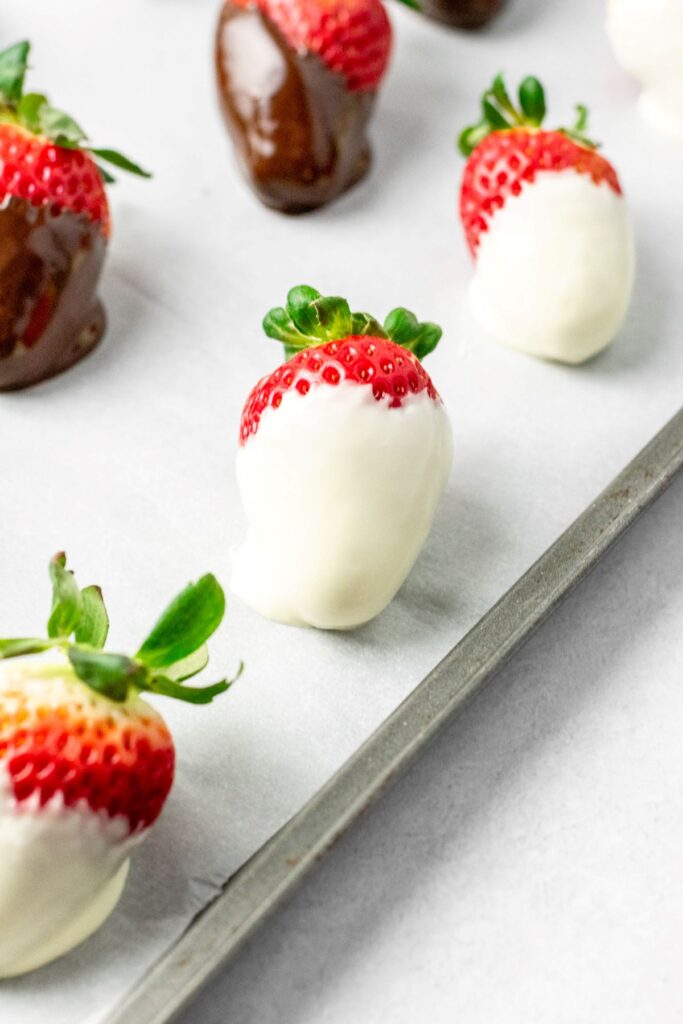 Fresh strawberries dipped in white chocolate sitting on a baking sheet.