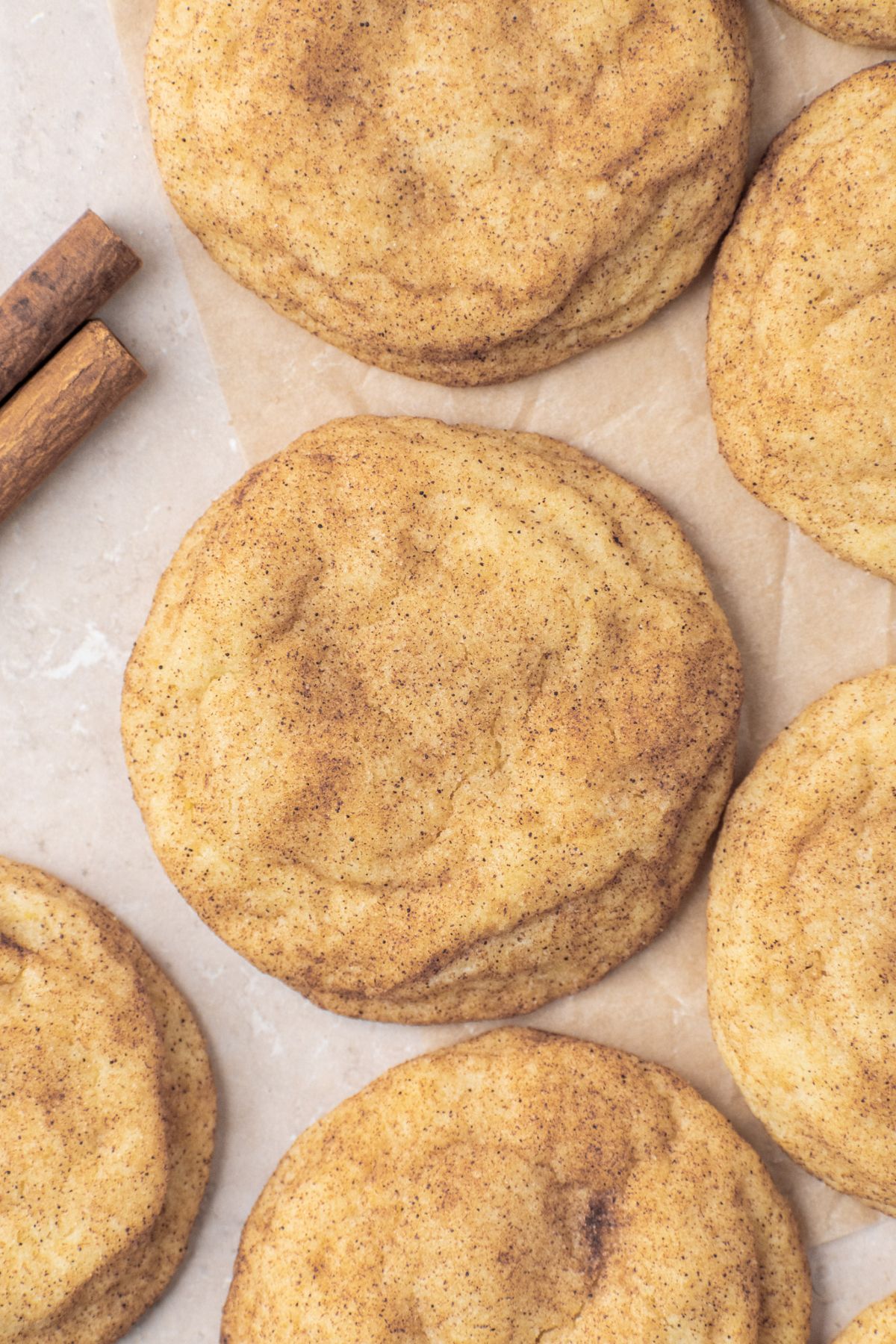 Classic snickerdoodle cookies that are soft and chewy.